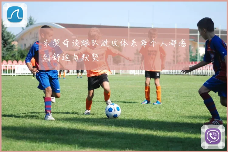 东契奇谈球队进攻体系每个人都感到舒适与默契