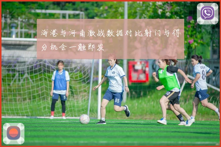 海港与河南激战数据对比射门与得分机会一触即发